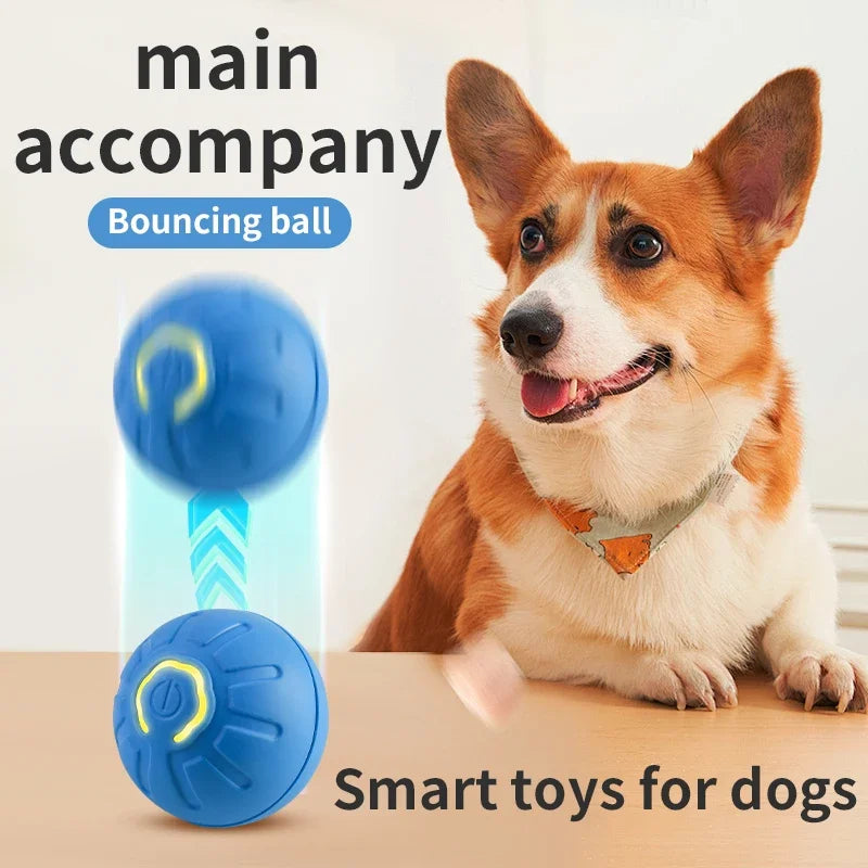 Bolinha de brinquedo smart para pets